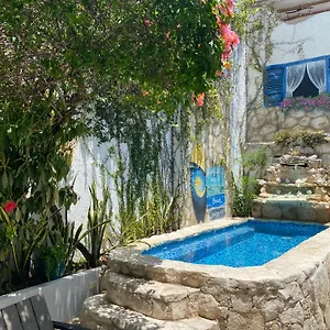 Caribo 2* קוזומל